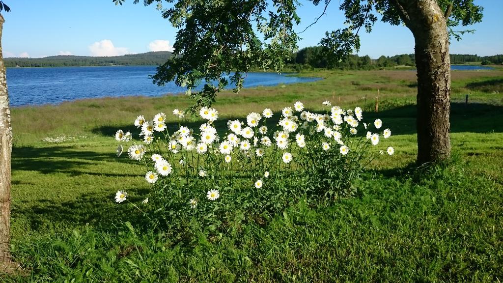 Willa Nivagarden Korpikylä Zewnętrze zdjęcie